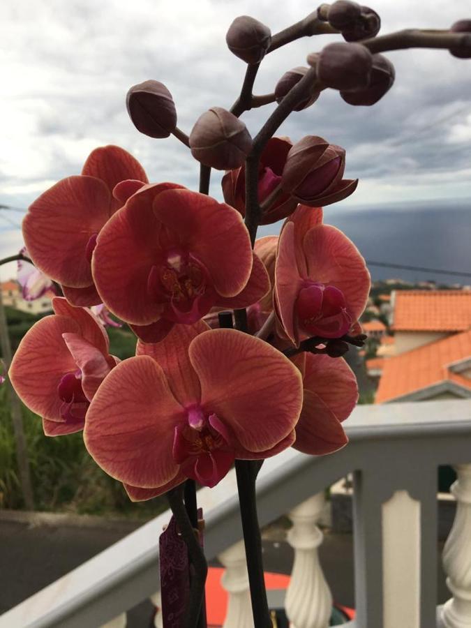 蓬他达维托亚Slice Of Ponta Do Sol- Ground Floor- Sea View公寓 外观 照片